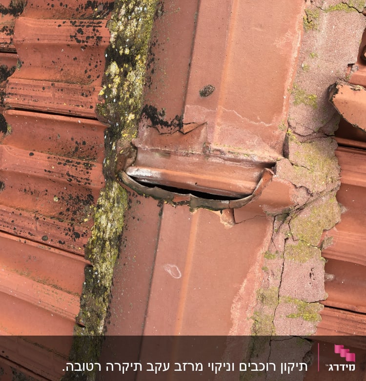 רעפים שבורים עם טחב על גג רעפים אדום